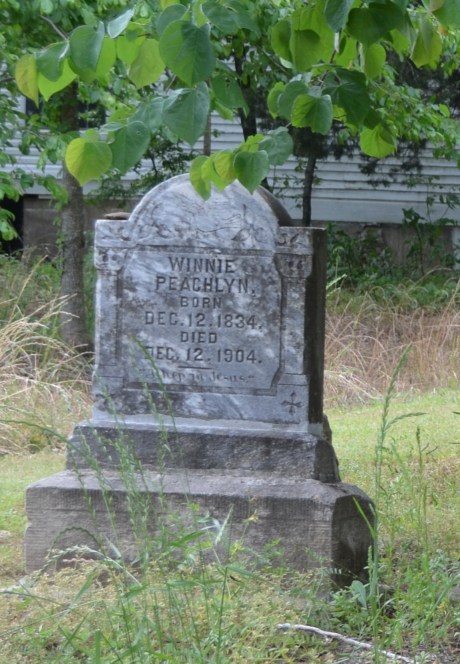 DSC_0239 - Version 2