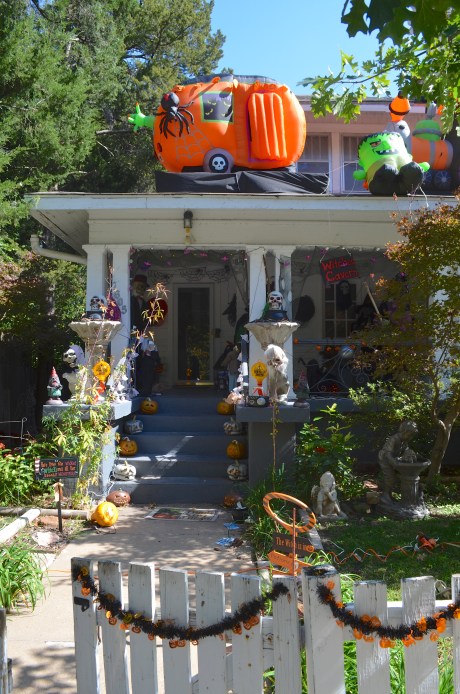 DSC_0708 10.33.50 AM