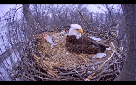 Screen Shot 2015-03-28 at 8.54.53 AM