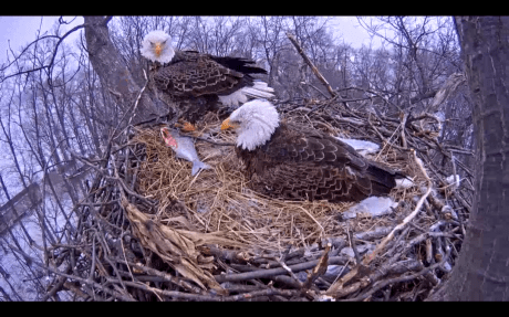 Screen Shot 2015-03-28 at 8.55.26 AM