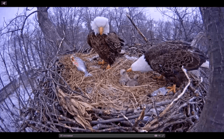 Screen Shot 2015-03-28 at 8.56.50 AM