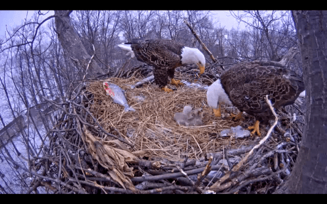 Screen Shot 2015-03-28 at 8.57.19 AM