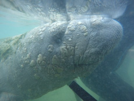 DCIM100GOPROGOPR5338.