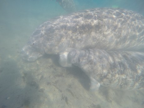 DCIM100GOPROGOPR5488.