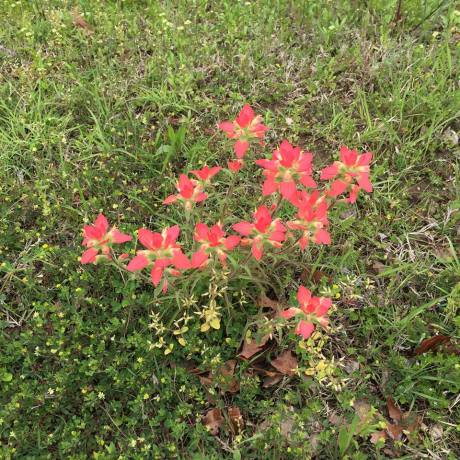 12986938_10208256409264599_7286732991570888144_n